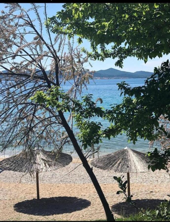 Luxury Majpruz Suites I Zadar Exteriér fotografie